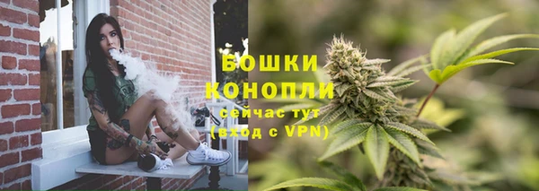 молекула духа Михайлов