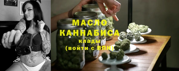 молекула духа Михайлов