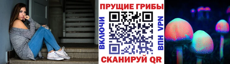 Купить закладки  Егорьевск  Галлюциногенные грибы прущие грибы 